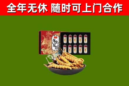 湘西回收冬虫夏草价格